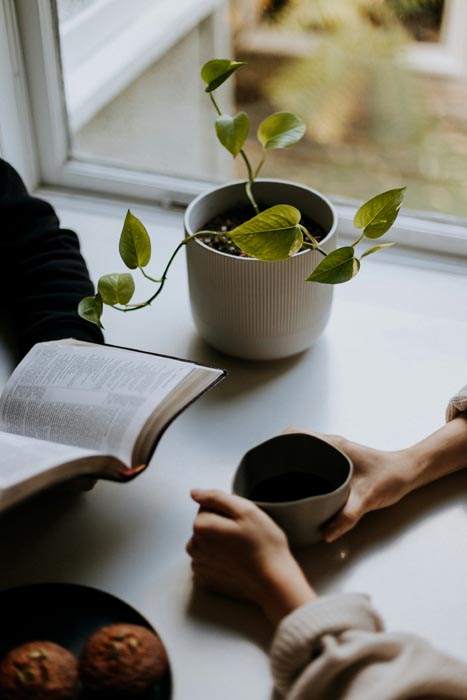 bible and plant